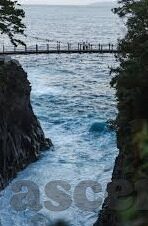 水果机dj软件中文版-水果机dj软件中文版，解锁娱乐新体验